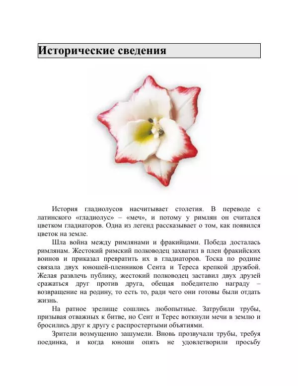 Дарья Резько - Гладиолусы - Страница № 5