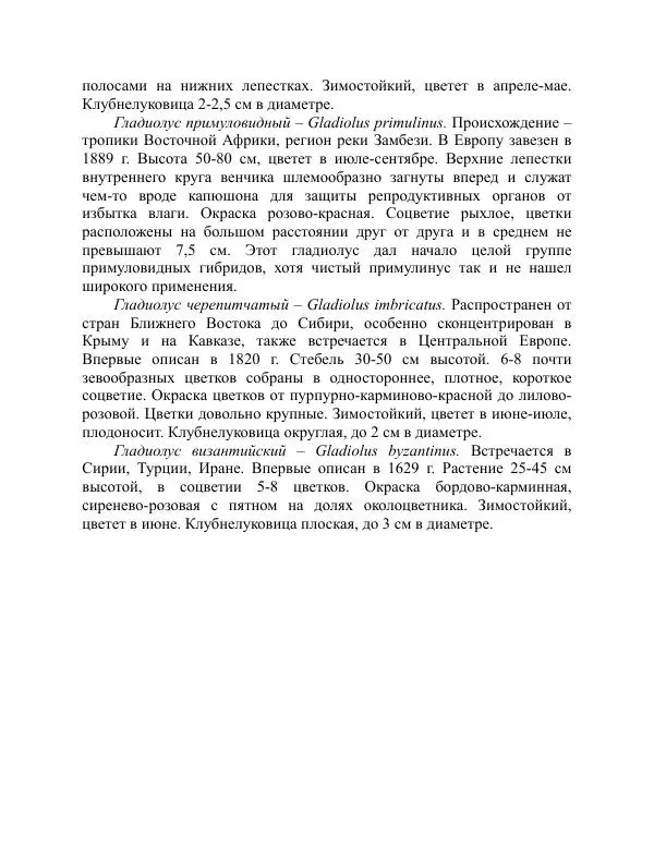Дарья Резько - Гладиолусы - Страница № 22