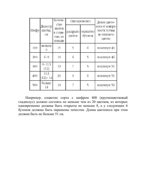 Дарья Резько - Гладиолусы - Страница № 38