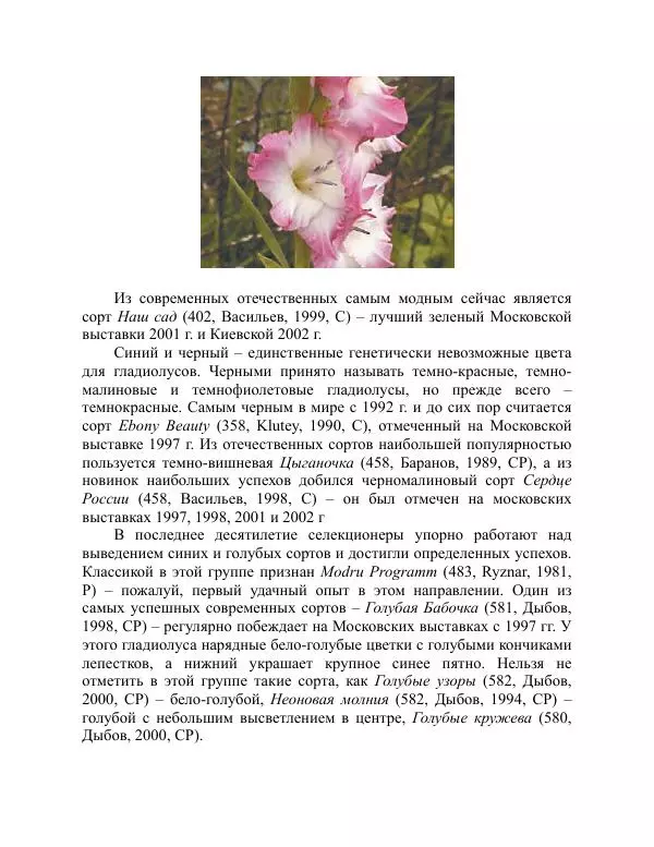 Дарья Резько - Гладиолусы - Страница № 49