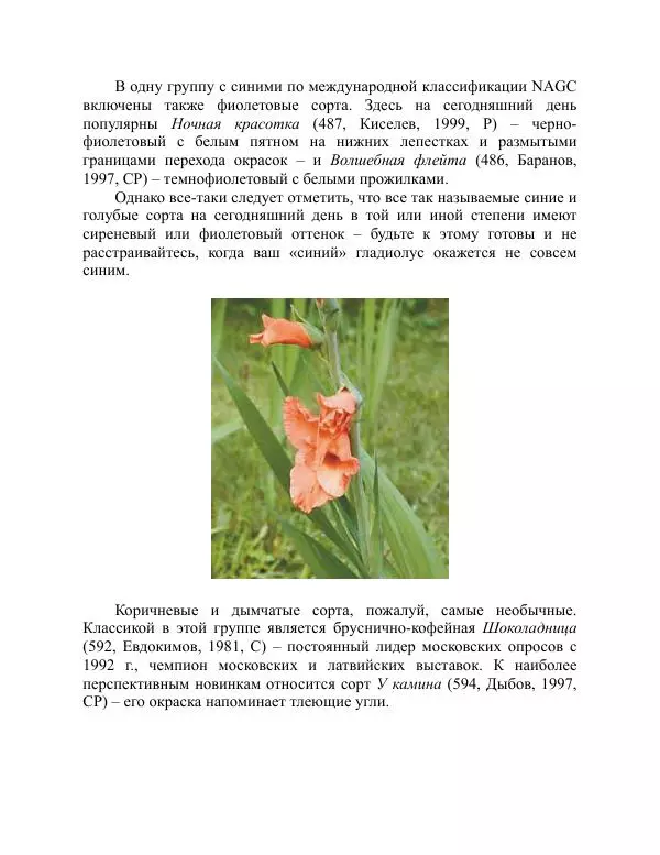 Дарья Резько - Гладиолусы - Страница № 50