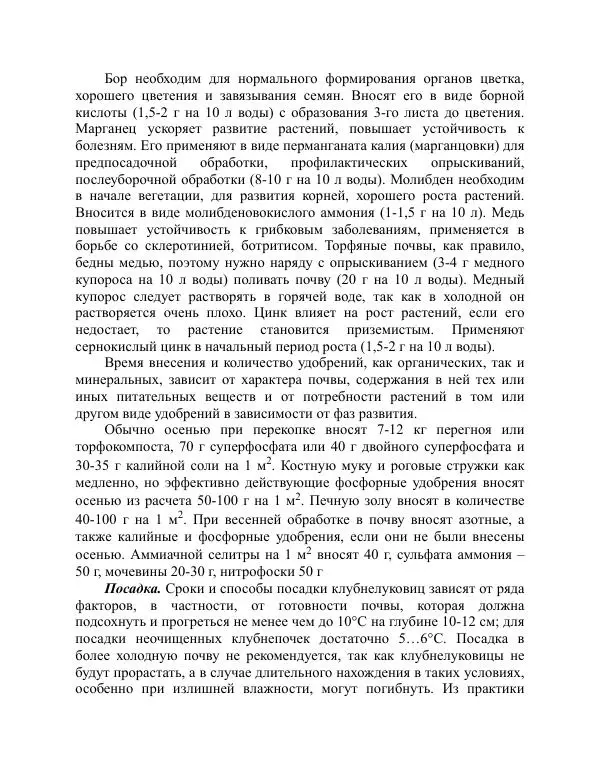 Дарья Резько - Гладиолусы - Страница № 58