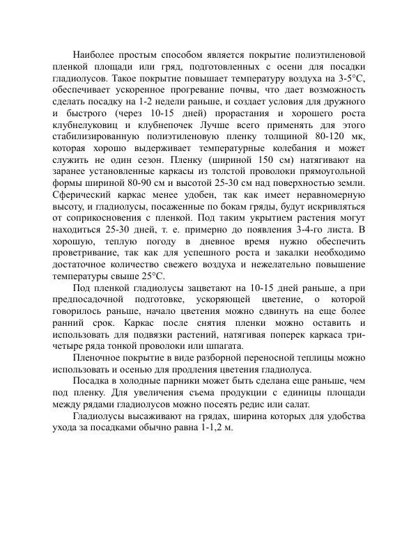 Дарья Резько - Гладиолусы - Страница № 61