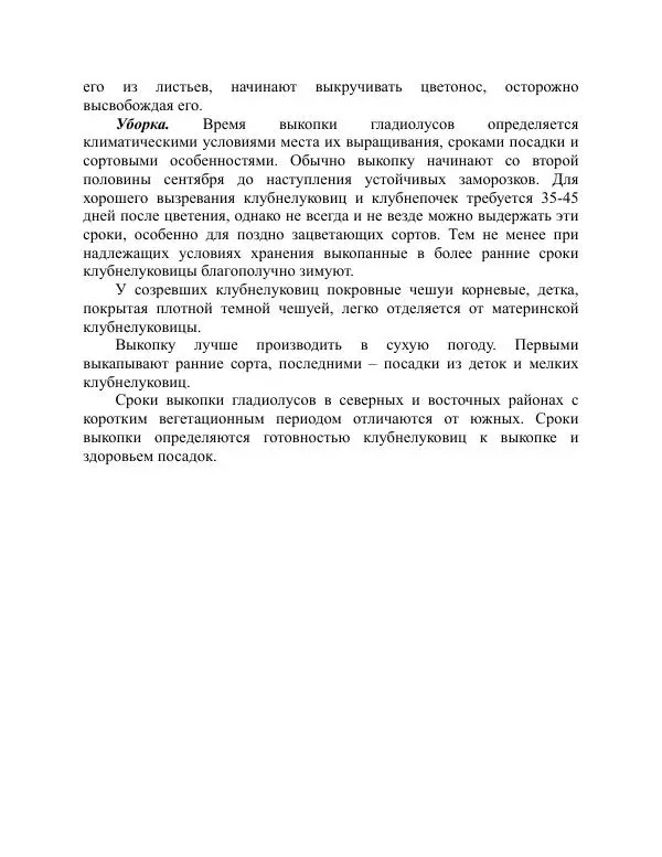 Дарья Резько - Гладиолусы - Страница № 81