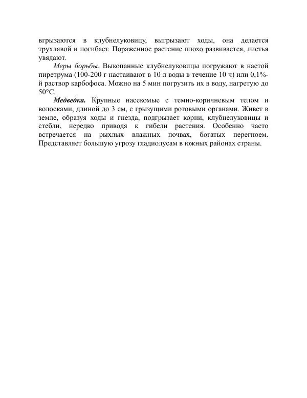 Дарья Резько - Гладиолусы - Страница № 102