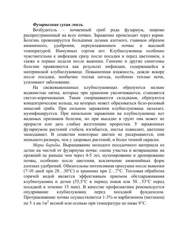 Дарья Резько - Гладиолусы - Страница № 106
