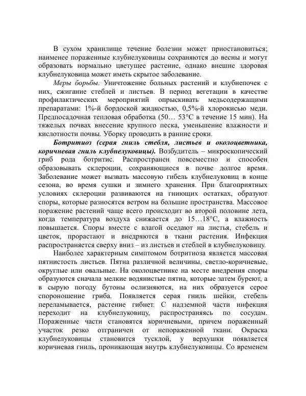 Дарья Резько - Гладиолусы - Страница № 109