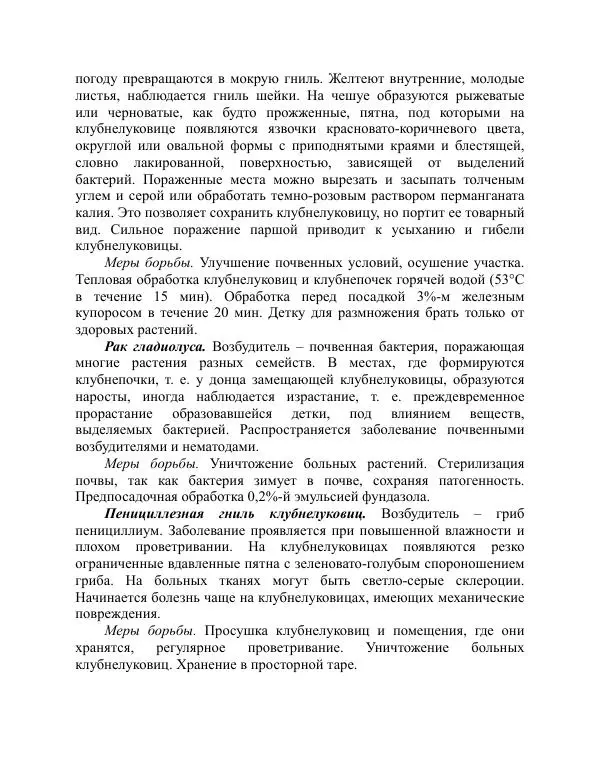 Дарья Резько - Гладиолусы - Страница № 113