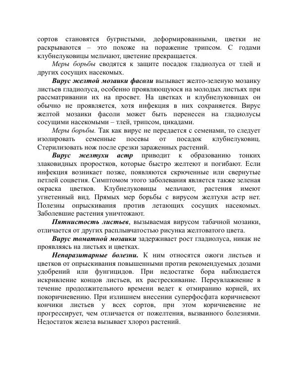 Дарья Резько - Гладиолусы - Страница № 115