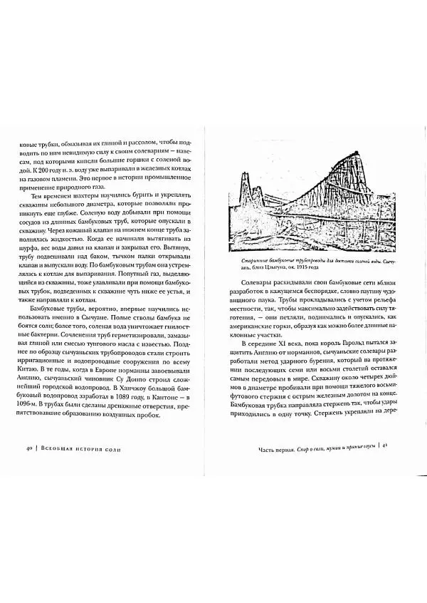 Марк Курлански - Всеобщая история соли - Страница № 20
