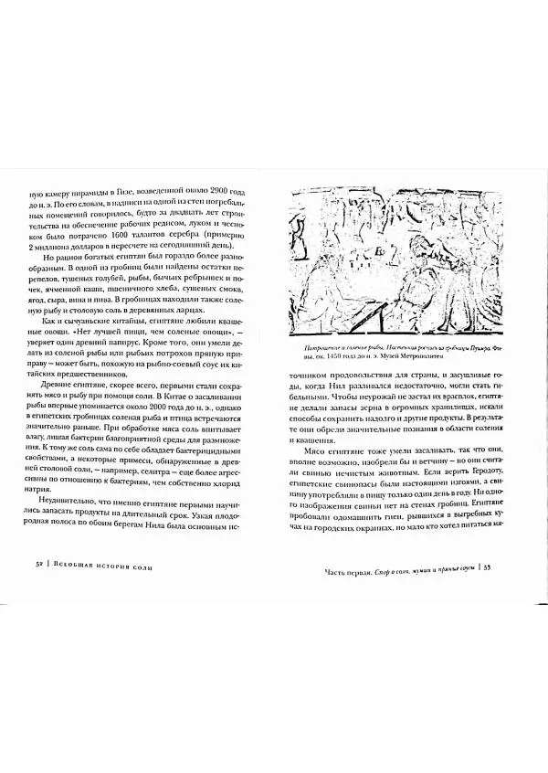 Марк Курлански - Всеобщая история соли - Страница № 26