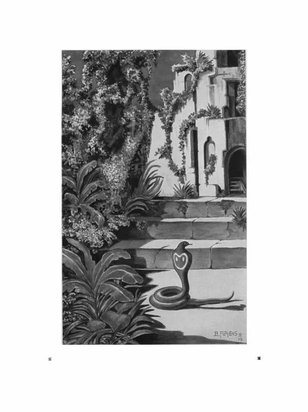 Георгий Гасенко - Найя из джунглей - Страница № 9