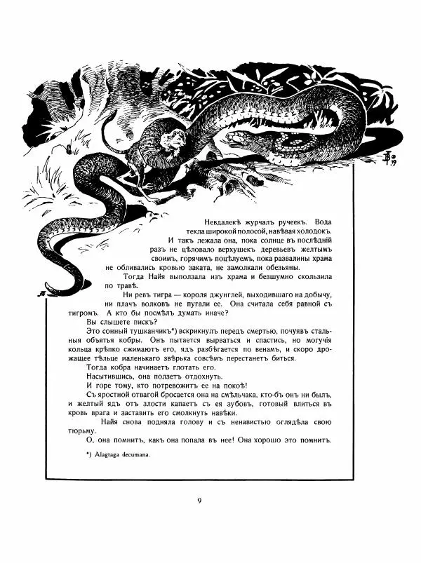 Георгий Гасенко - Найя из джунглей - Страница № 10