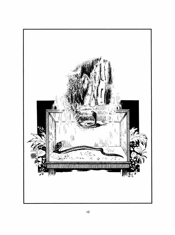 Георгий Гасенко - Найя из джунглей - Страница № 13