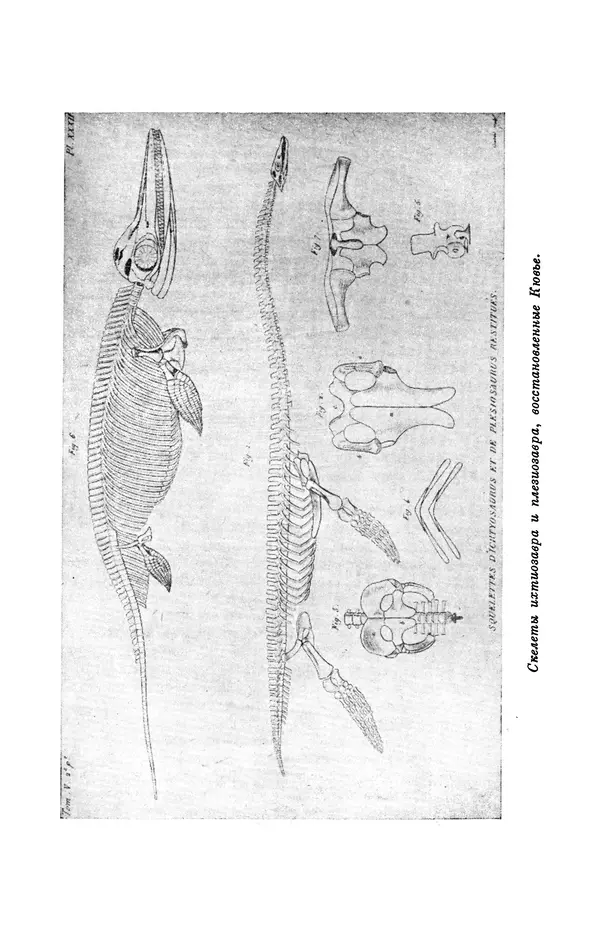 Иван Канаев - Жорж Кювье (1769-1832) - Страница № 134