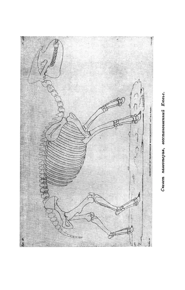 Иван Канаев - Жорж Кювье (1769-1832) - Страница № 138