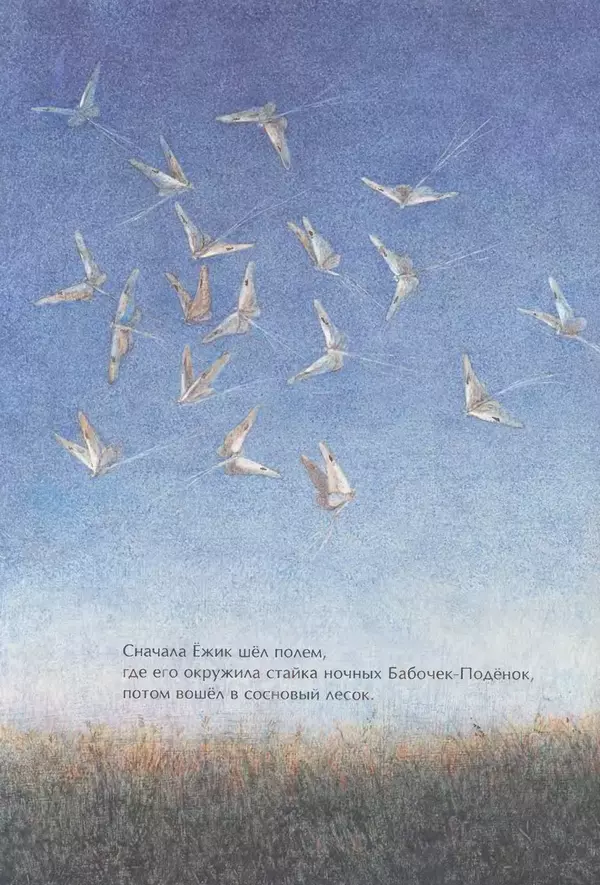 Сергей Козлов - Ёжик в тумане - Страница № 5