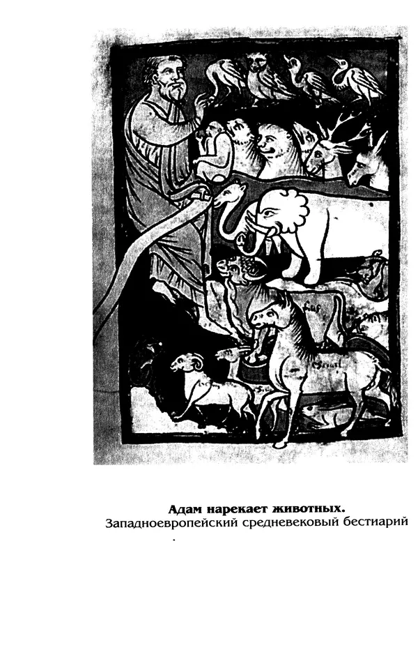 Владимир Петрухин - Мифы о сотворении мира - Страница № 12