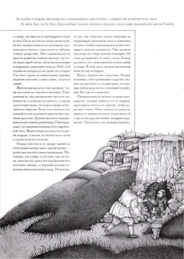 Тим Аппензеллер - Гномы - Страница № 47