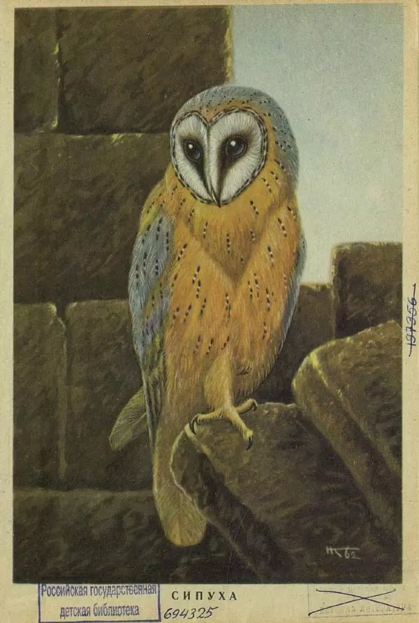 Николай Кондаков - Птицы - Страница № 2