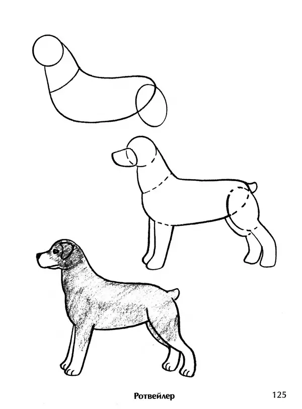 Д Селиверстова - Рисование. Первые шаги - Страница № 121 Д Селиверстова - Рисование. Первые шаги - Страница № 121