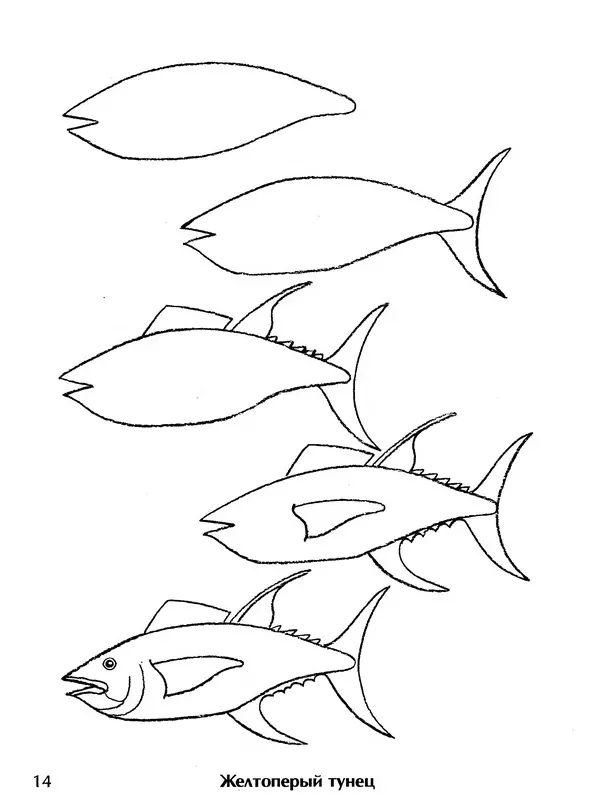 Д Селиверстова - Рисование. Первые шаги - Страница № 13 Д Селиверстова - Рисование. Первые шаги - Страница № 13