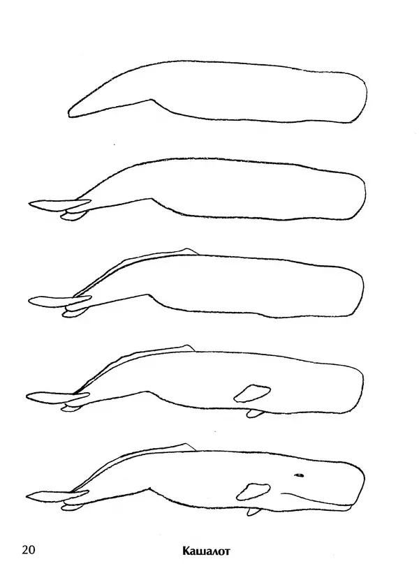 Д Селиверстова - Рисование. Первые шаги - Страница № 19 Д Селиверстова - Рисование. Первые шаги - Страница № 19