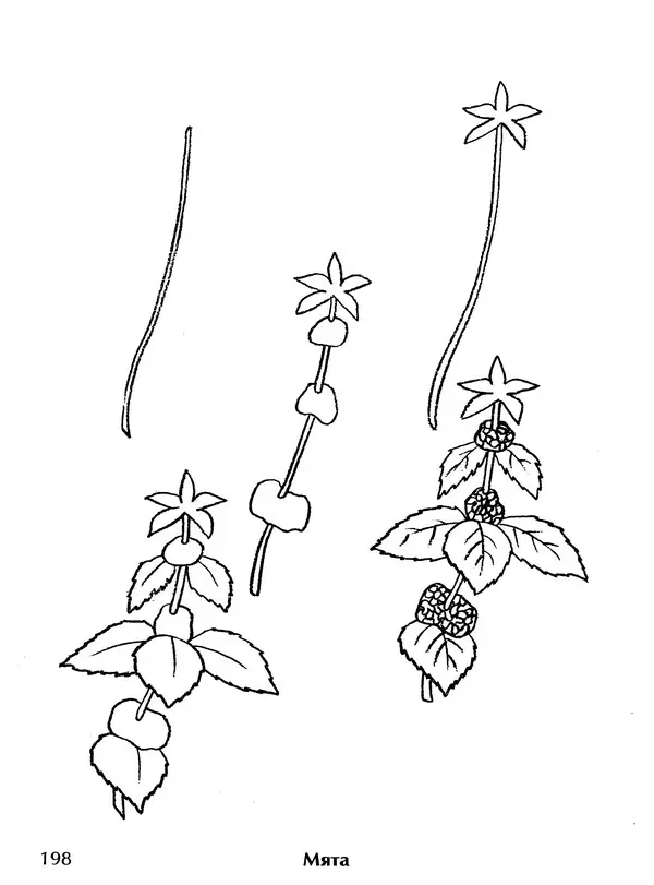 Д Селиверстова - Рисование. Первые шаги - Страница № 191 Д Селиверстова - Рисование. Первые шаги - Страница № 191