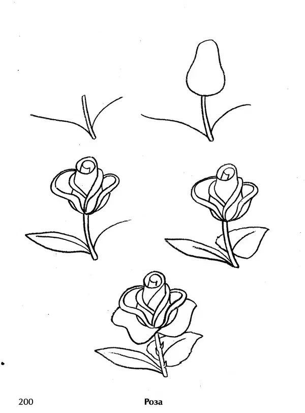Д Селиверстова - Рисование. Первые шаги - Страница № 193 Д Селиверстова - Рисование. Первые шаги - Страница № 193
