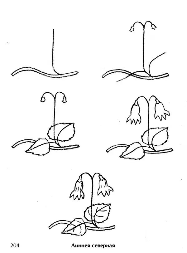 Д Селиверстова - Рисование. Первые шаги - Страница № 197 Д Селиверстова - Рисование. Первые шаги - Страница № 197