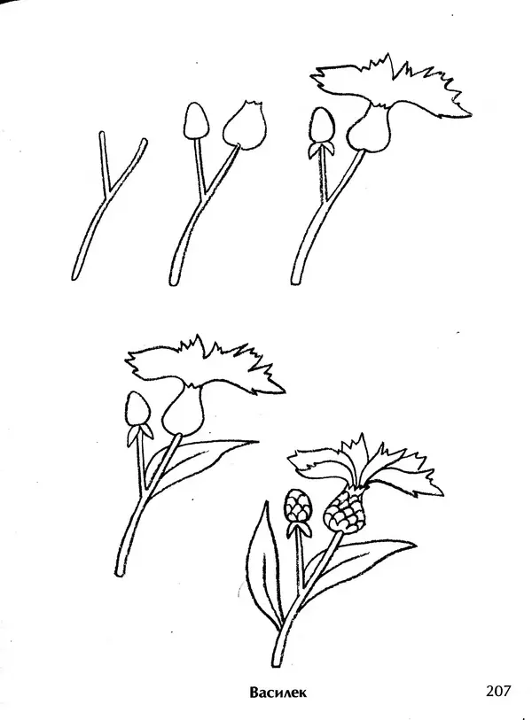 Д Селиверстова - Рисование. Первые шаги - Страница № 200 Д Селиверстова - Рисование. Первые шаги - Страница № 200