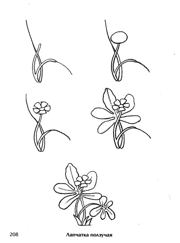 Д Селиверстова - Рисование. Первые шаги - Страница № 201 Д Селиверстова - Рисование. Первые шаги - Страница № 201