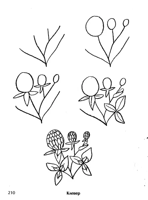 Д Селиверстова - Рисование. Первые шаги - Страница № 203 Д Селиверстова - Рисование. Первые шаги - Страница № 203