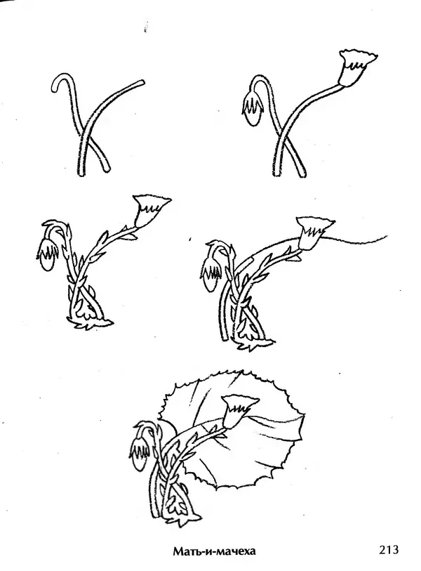 Д Селиверстова - Рисование. Первые шаги - Страница № 206 Д Селиверстова - Рисование. Первые шаги - Страница № 206