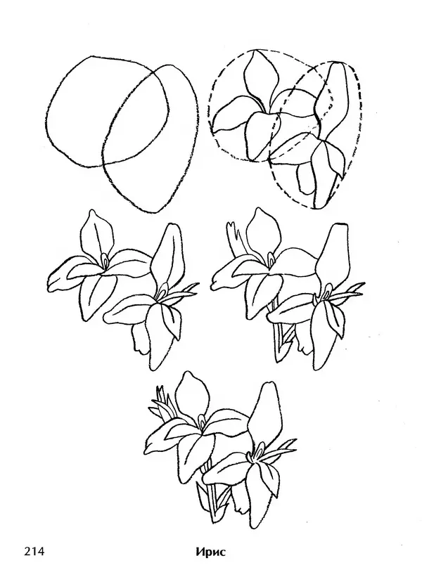 Д Селиверстова - Рисование. Первые шаги - Страница № 207 Д Селиверстова - Рисование. Первые шаги - Страница № 207