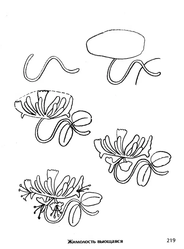 Д Селиверстова - Рисование. Первые шаги - Страница № 212 Д Селиверстова - Рисование. Первые шаги - Страница № 212