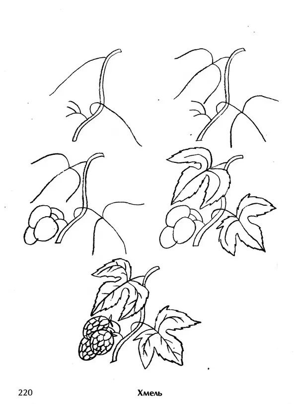 Д Селиверстова - Рисование. Первые шаги - Страница № 213 Д Селиверстова - Рисование. Первые шаги - Страница № 213
