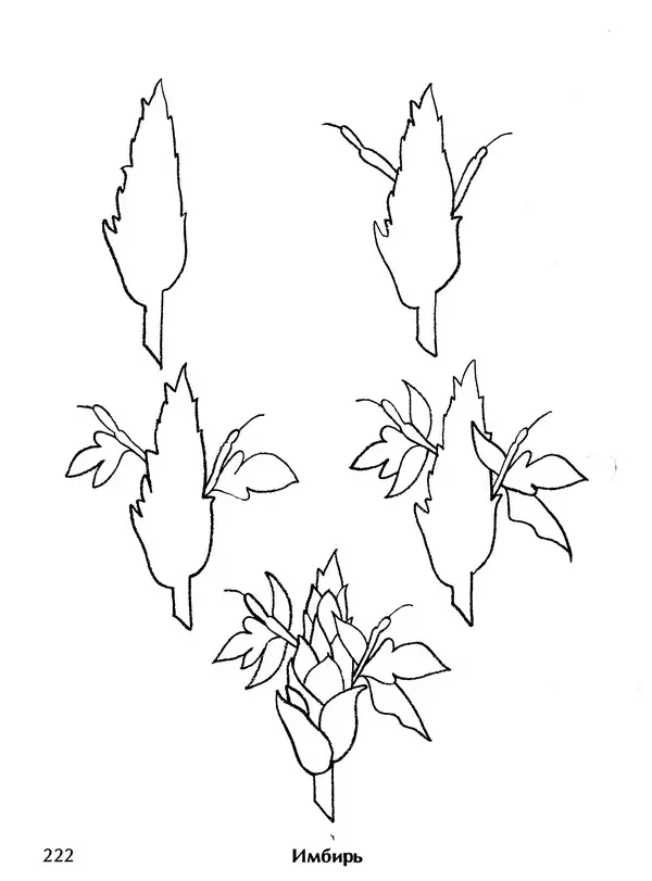 Д Селиверстова - Рисование. Первые шаги - Страница № 215 Д Селиверстова - Рисование. Первые шаги - Страница № 215