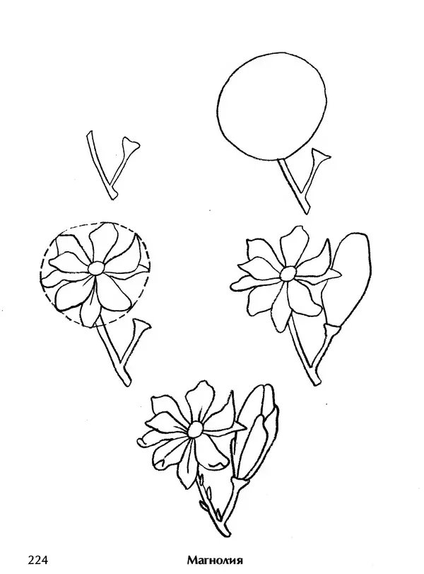 Д Селиверстова - Рисование. Первые шаги - Страница № 217 Д Селиверстова - Рисование. Первые шаги - Страница № 217