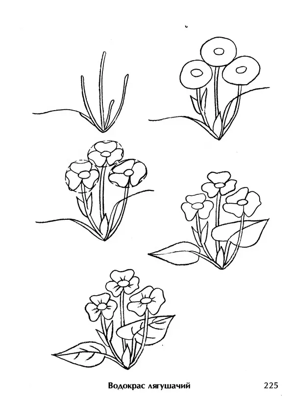 Д Селиверстова - Рисование. Первые шаги - Страница № 218 Д Селиверстова - Рисование. Первые шаги - Страница № 218
