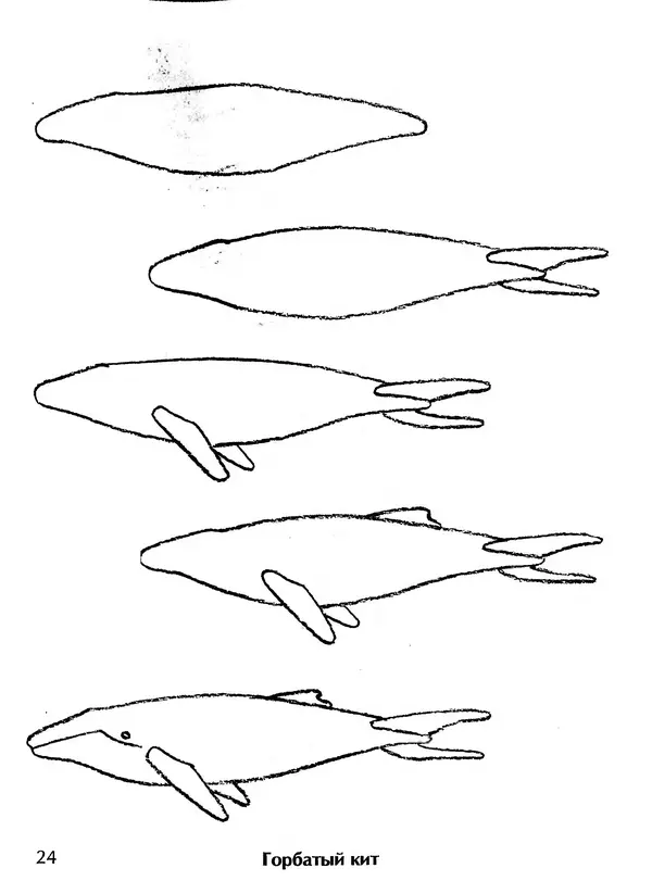 Д Селиверстова - Рисование. Первые шаги - Страница № 23 Д Селиверстова - Рисование. Первые шаги - Страница № 23