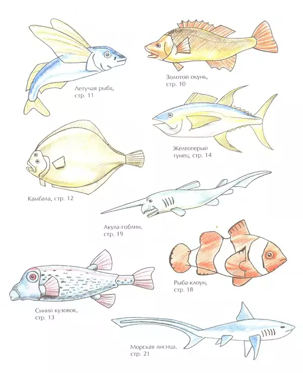 Д Селиверстова - Рисование. Первые шаги - Страница № 342 Д Селиверстова - Рисование. Первые шаги - Страница № 342