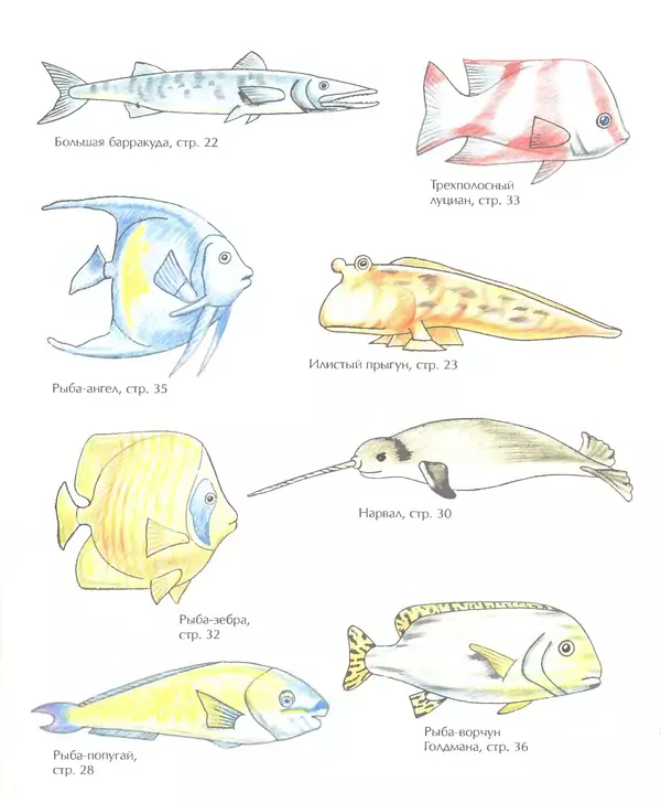 Д Селиверстова - Рисование. Первые шаги - Страница № 343 Д Селиверстова - Рисование. Первые шаги - Страница № 343
