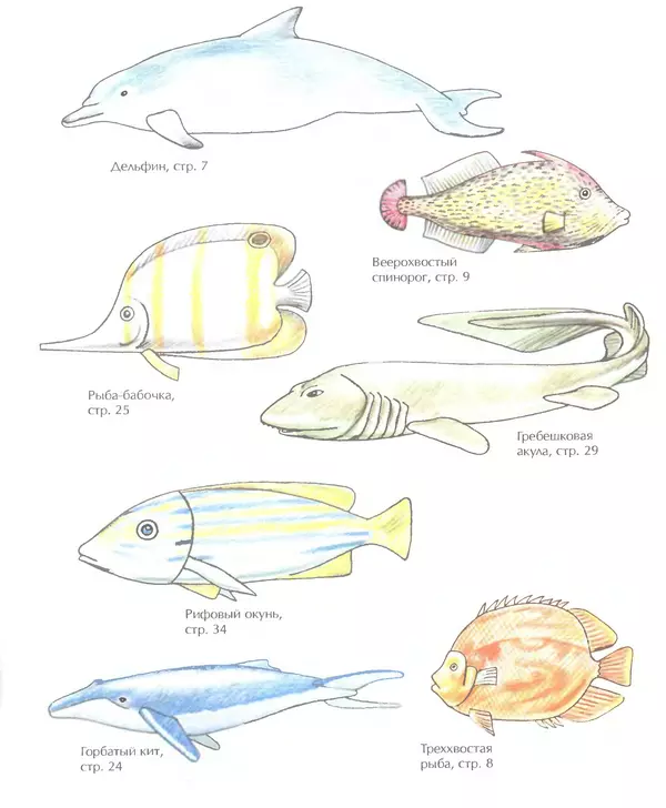 Д Селиверстова - Рисование. Первые шаги - Страница № 345 Д Селиверстова - Рисование. Первые шаги - Страница № 345
