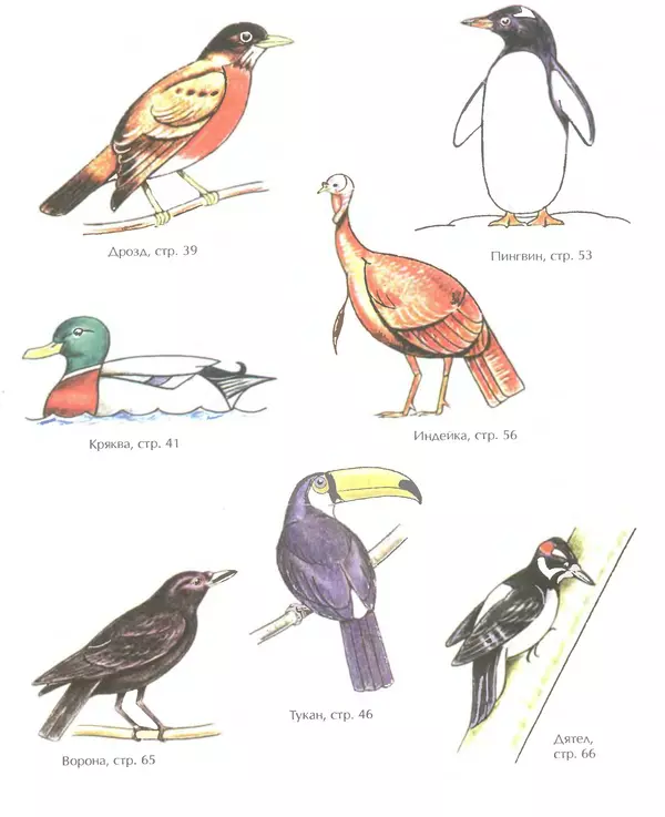 Д Селиверстова - Рисование. Первые шаги - Страница № 346 Д Селиверстова - Рисование. Первые шаги - Страница № 346