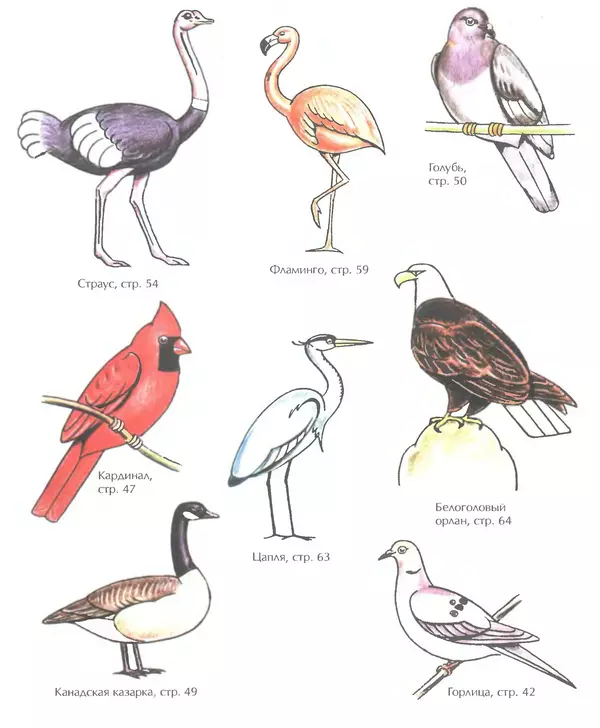 Д Селиверстова - Рисование. Первые шаги - Страница № 347 Д Селиверстова - Рисование. Первые шаги - Страница № 347