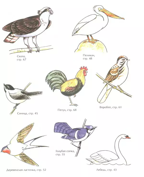 Д Селиверстова - Рисование. Первые шаги - Страница № 348 Д Селиверстова - Рисование. Первые шаги - Страница № 348