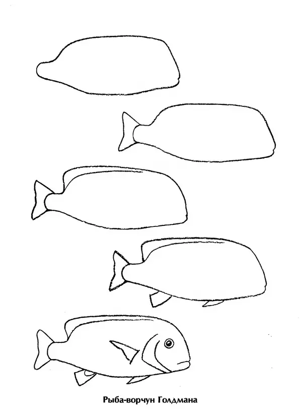 Д Селиверстова - Рисование. Первые шаги - Страница № 35 Д Селиверстова - Рисование. Первые шаги - Страница № 35