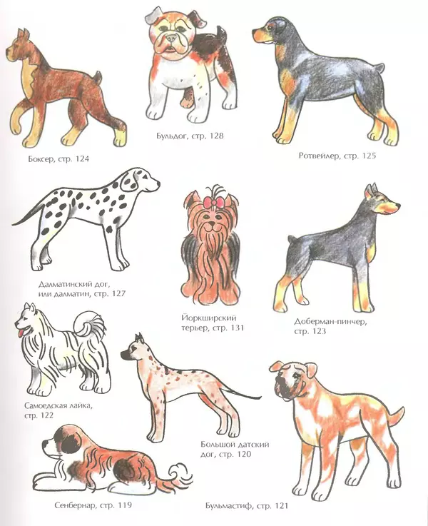 Д Селиверстова - Рисование. Первые шаги - Страница № 354 Д Селиверстова - Рисование. Первые шаги - Страница № 354