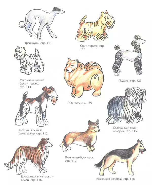 Д Селиверстова - Рисование. Первые шаги - Страница № 355 Д Селиверстова - Рисование. Первые шаги - Страница № 355